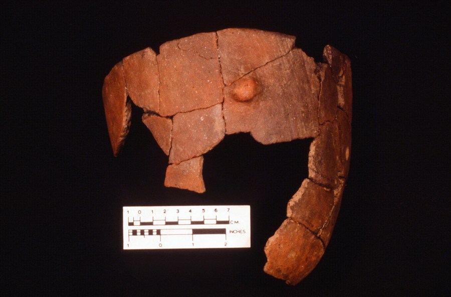 seldon island Go40.jpg